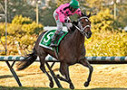 Alert Bay Strikes in British Columbia Derby Alert Bay Strikes in British Columbia Derby