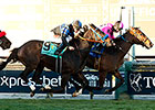 Alert Bay Victorious in Cal Cup Turf Classic Alert Bay Victorious in Cal Cup Turf Classic