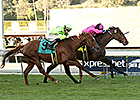 Alert Bay Wins Mathis Brothers Mile Thriller Alert Bay Wins Mathis Brothers Mile Thriller