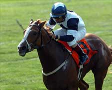 Late Charge Earns Alexander Tango Garden City Victory Late Charge Earns Alexander Tango Garden City Victory