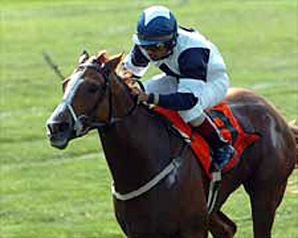 Gr. I Winner Alexander Tango Dead Gr. I Winner Alexander Tango Dead