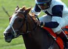 Gr. I Winner Alexander Tango Dead Gr. I Winner Alexander Tango Dead