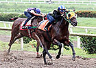 Jara's Sister to Make Panama Riding Debut Jara's Sister to Make Panama Riding Debut