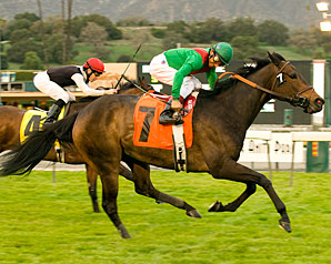 Alexandra Rose Captures Monrovia Alexandra Rose Captures Monrovia