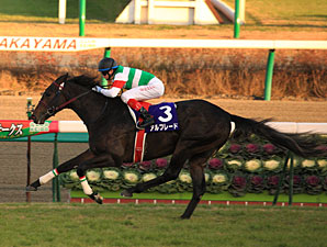 Unbeaten Alfredo Captures Asahi Hai Futurity Unbeaten Alfredo Captures Asahi Hai Futurity
