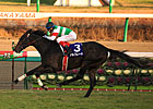 Unbeaten Alfredo Captures Asahi Hai Futurity