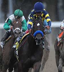 Alienation Heads Speedy Prioress Field Alienation Heads Speedy Prioress Field