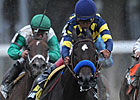 Alienation Heads Speedy Prioress Field Alienation Heads Speedy Prioress Field