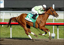 Alix M Overpowers Bear Fan in F&M Sprint Alix M Overpowers Bear Fan in F&M Sprint