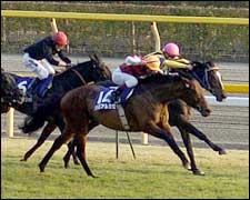 Alkaased Noses Out Heart's Cry in Record-Setting Japan Cup Alkaased Noses Out Heart's Cry in Record-Setting Japan Cup