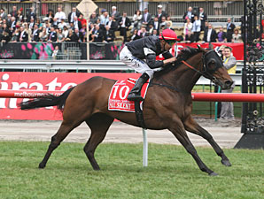 All Silent Makes Noise at Flemington All Silent Makes Noise at Flemington