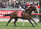 All Silent Makes Noise at Flemington All Silent Makes Noise at Flemington