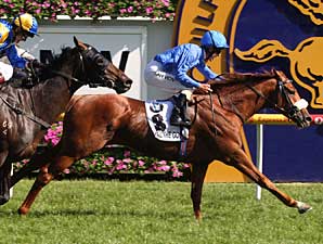 All The Good Conquers Caulfield Cup All The Good Conquers Caulfield Cup