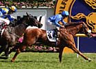 All The Good Conquers Caulfield Cup All The Good Conquers Caulfield Cup