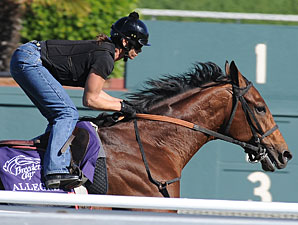 Longshot Allegre Scratched Out of Turf Longshot Allegre Scratched Out of Turf