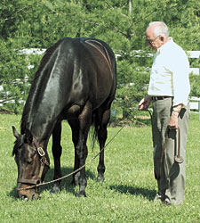 Maryland Horse Breeder Murray Dies at Age 80 Maryland Horse Breeder Murray Dies at Age 80