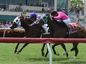 Gulfstream Handle Hits $3.3M for July 4 Card Gulfstream Handle Hits $3.3M for July 4 Card