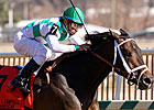 Alma d'Oro, Pleasant Prince Lead Iselin Field Alma d'Oro, Pleasant Prince Lead Iselin Field