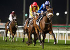 Almoonqith Wins at Meydan, Cavalryman Injured Almoonqith Wins at Meydan, Cavalryman Injured
