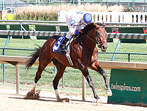 Kentucky Jockey Club Post Fits Almost Famous Kentucky Jockey Club Post Fits Almost Famous