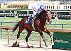 Almost Famous Breezes for Ky. Jockey Club Almost Famous Breezes for Ky. Jockey Club