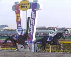 El Condor Pasa Colt Alondite Wins Japan Cup Dirt El Condor Pasa Colt Alondite Wins Japan Cup Dirt