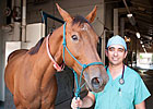 Drug Offers Hope in Laminitis Fight Drug Offers Hope in Laminitis Fight
