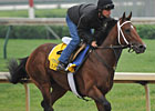 Alpha Earns Top Grade While Schooling Alpha Earns Top Grade While Schooling