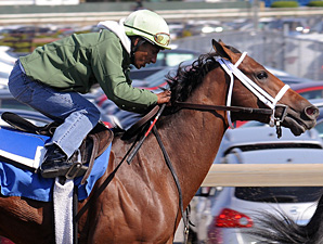 Quick Final Work for Alpha, No Rider Yet Quick Final Work for Alpha, No Rider Yet