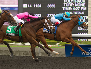 Alpha Bettor Guts Out Eclipse Stakes Victory Alpha Bettor Guts Out Eclipse Stakes Victory