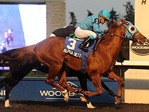Alpha Bettor Up in Time in Woodbine's Autumn Alpha Bettor Up in Time in Woodbine's Autumn