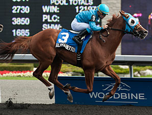 Alpha Bettor Pulls a Seagram Cup Double Alpha Bettor Pulls a Seagram Cup Double