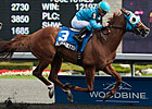 Alpha Bettor, Hogy Top Presque Isle Mile Alpha Bettor, Hogy Top Presque Isle Mile