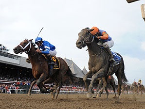 Alpha, Golden Ticket Dead-Heat in Travers Alpha, Golden Ticket Dead-Heat in Travers