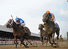 Golden Ticket to Bypass Breeders' Cup Golden Ticket to Bypass Breeders' Cup
