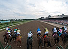 Travers Attendance, Handle Post Increases