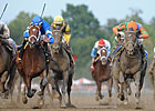 Alpha, Golden Ticket Ready for Rematch