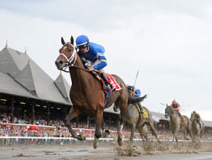 Alpha Dominant Winner in Jim Dandy Return Alpha Dominant Winner in Jim Dandy Return