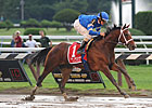 Alpha, Questing Top Pair of $1M Parx Stakes Alpha, Questing Top Pair of $1M Parx Stakes