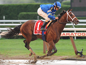 Alpha, Fast Falcon Work for Travers Bids Alpha, Fast Falcon Work for Travers Bids