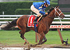 Alpha, Fast Falcon Work for Travers Bids
