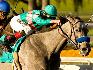 Alpha Kitten is Quick Cat in Santa Ynez Alpha Kitten is Quick Cat in Santa Ynez