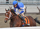 Alpha Back on Schedule for Derby Start Alpha Back on Schedule for Derby Start