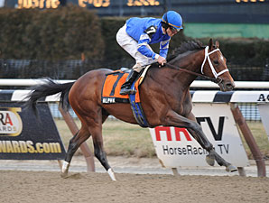 Alpha to Remain in New York for Next Start Alpha to Remain in New York for Next Start