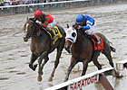 Alpha Springs Gate-to-Wire Woodward Upset Alpha Springs Gate-to-Wire Woodward Upset