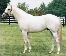 Alphabet Soup Colt Tops Third OBSC Open Session Alphabet Soup Colt Tops Third OBSC Open Session
