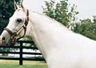 Alphabet Soup Colt Tops Third OBSC Open Session Alphabet Soup Colt Tops Third OBSC Open Session