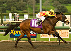 Alphie's Bet Proves Best in Rescheduled Sham Alphie's Bet Proves Best in Rescheduled Sham
