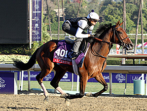 Schwartz Seeks BC Double with Alterite Schwartz Seeks BC Double with Alterite