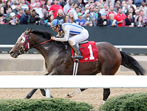 Alternation Remains in Training for Fall Alternation Remains in Training for Fall
